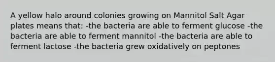 A yellow halo around colonies growing on Mannitol Salt Agar plates means that: -the bacteria are able to ferment glucose -the bacteria are able to ferment mannitol -the bacteria are able to ferment lactose -the bacteria grew oxidatively on peptones