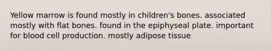 Yellow marrow is found mostly in children's bones. associated mostly with flat bones. found in the epiphyseal plate. important for blood cell production. mostly adipose tissue