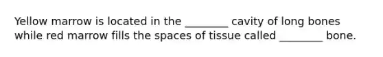 Yellow marrow is located in the ________ cavity of long bones while red marrow fills the spaces of tissue called ________ bone.