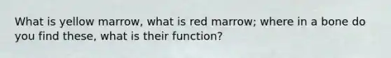 What is yellow marrow, what is red marrow; where in a bone do you find these, what is their function?