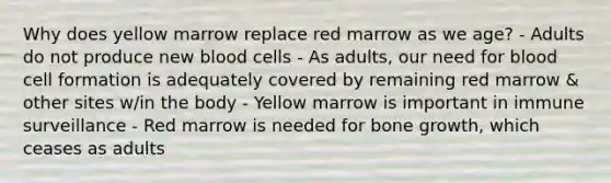 Why does yellow marrow replace red marrow as we age? - Adults do not produce new blood cells - As adults, our need for blood cell formation is adequately covered by remaining red marrow & other sites w/in the body - Yellow marrow is important in immune surveillance - Red marrow is needed for bone growth, which ceases as adults