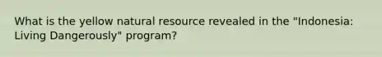 What is the yellow natural resource revealed in the "Indonesia: Living Dangerously" program?