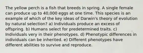 The yellow perch is a fish that breeds in spring. A single female can produce up to 40,000 eggs at one time. This species is an example of which of the key ideas of <a href='https://www.questionai.com/knowledge/kTMCIb2e1M-darwins-theory-of-evolution' class='anchor-knowledge'>darwin's theory of evolution</a> by natural selection? a) Individuals produce an excess of offspring. b) Humans select for predetermined traits. c) Individuals very in their phenotypes. d) Phenotypic differences in individuals can be inherited. e) Different phenotypes have different abilities to survive and reproduce.