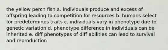 the yellow perch fish a. individuals produce and excess of offspring leading to competition for resources b. humans select for predetermines traits c. individuals vary in phenotype due to genetic variation d. phenotype difference in individuals can be inherited e. diff phenotypes of diff abilities can lead to survival and reproduction