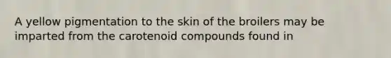 A yellow pigmentation to the skin of the broilers may be imparted from the carotenoid compounds found in