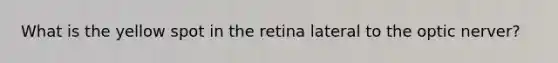 What is the yellow spot in the retina lateral to the optic nerver?