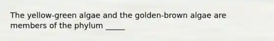 The yellow-green algae and the golden-brown algae are members of the phylum _____