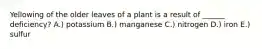 Yellowing of the older leaves of a plant is a result of ______ deficiency? A.) potassium B.) manganese C.) nitrogen D.) iron E.) sulfur