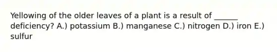 Yellowing of the older leaves of a plant is a result of ______ deficiency? A.) potassium B.) manganese C.) nitrogen D.) iron E.) sulfur