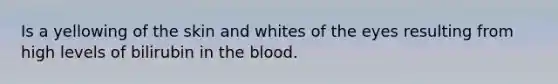 Is a yellowing of the skin and whites of the eyes resulting from high levels of bilirubin in <a href='https://www.questionai.com/knowledge/k7oXMfj7lk-the-blood' class='anchor-knowledge'>the blood</a>.