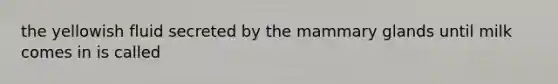 the yellowish fluid secreted by the mammary glands until milk comes in is called