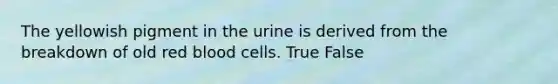 The yellowish pigment in the urine is derived from the breakdown of old red blood cells. True False