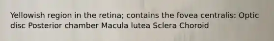Yellowish region in the retina; contains the fovea centralis: Optic disc Posterior chamber Macula lutea Sclera Choroid
