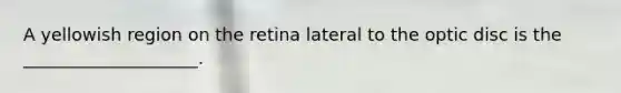 A yellowish region on the retina lateral to the optic disc is the ____________________.
