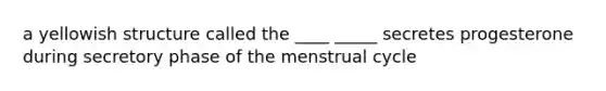 a yellowish structure called the ____ _____ secretes progesterone during secretory phase of the menstrual cycle