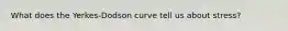 What does the Yerkes-Dodson curve tell us about stress?