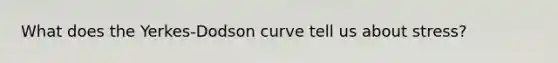 What does the Yerkes-Dodson curve tell us about stress?