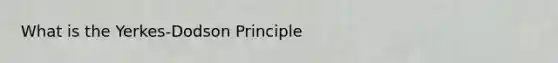 What is the Yerkes-Dodson Principle