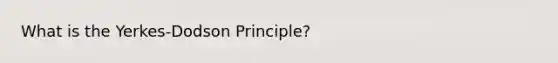 What is the Yerkes-Dodson Principle?