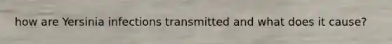 how are Yersinia infections transmitted and what does it cause?