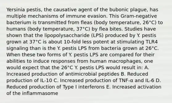 Yersinia pestis, the causative agent of the bubonic plague, has multiple mechanisms of immune evasion. This Gram-negative bacterium is transmitted from fleas (body temperature, 26°C) to humans (body temperature, 37°C) by flea bites. Studies have shown that the lipopolysaccharide (LPS) produced by Y. pestis grown at 37°C is about 10-fold less potent at stimulating TLR4 signaling than is the Y. pestis LPS from bacteria grown at 26°C. When these two forms of Y. pestis LPS are compared for their abilities to induce responses from human macrophages, one would expect that the 26°C Y. pestis LPS would result in: A. Increased production of antimicrobial peptides B. Reduced production of IL-10 C. Increased production of TNF-α and IL-6 D. Reduced production of Type I interferons E. Increased activation of the inflammasome