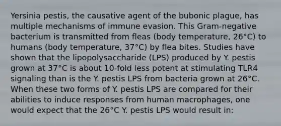 Yersinia pestis, the causative agent of the bubonic plague, has multiple mechanisms of immune evasion. This Gram-negative bacterium is transmitted from fleas (body temperature, 26°C) to humans (body temperature, 37°C) by flea bites. Studies have shown that the lipopolysaccharide (LPS) produced by Y. pestis grown at 37°C is about 10-fold less potent at stimulating TLR4 signaling than is the Y. pestis LPS from bacteria grown at 26°C. When these two forms of Y. pestis LPS are compared for their abilities to induce responses from human macrophages, one would expect that the 26°C Y. pestis LPS would result in: