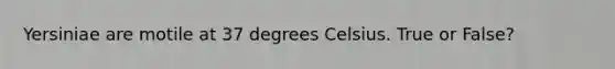 Yersiniae are motile at 37 degrees Celsius. True or False?