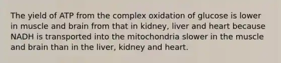 The yield of ATP from the complex oxidation of glucose is lower in muscle and brain from that in kidney, liver and heart because NADH is transported into the mitochondria slower in the muscle and brain than in the liver, kidney and heart.