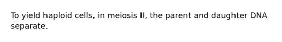 To yield haploid cells, in meiosis II, the parent and daughter DNA separate.