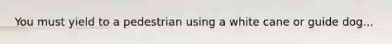You must yield to a pedestrian using a white cane or guide dog...