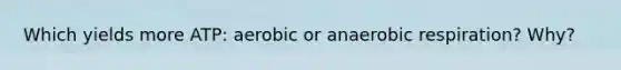 Which yields more ATP: aerobic or anaerobic respiration? Why?