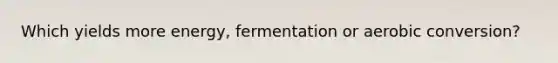 Which yields more energy, fermentation or aerobic conversion?