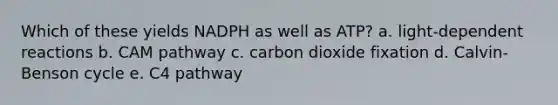 ​Which of these yields NADPH as well as ATP? a. light-dependent reactions b. CAM pathway c. carbon dioxide fixation d. Calvin-Benson cycle e. C4 pathway