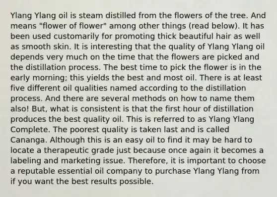 Ylang Ylang oil is steam distilled from the flowers of the tree. And means "flower of flower" among other things (read below). It has been used customarily for promoting thick beautiful hair as well as smooth skin. It is interesting that the quality of Ylang Ylang oil depends very much on the time that the flowers are picked and the distillation process. The best time to pick the flower is in the early morning; this yields the best and most oil. There is at least five different oil qualities named according to the distillation process. And there are several methods on how to name them also! But, what is consistent is that the first hour of distillation produces the best quality oil. This is referred to as Ylang Ylang Complete. The poorest quality is taken last and is called Cananga. Although this is an easy oil to find it may be hard to locate a therapeutic grade just because once again it becomes a labeling and marketing issue. Therefore, it is important to choose a reputable essential oil company to purchase Ylang Ylang from if you want the best results possible.