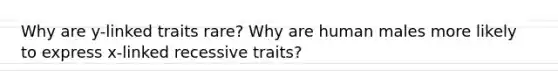 Why are y-linked traits rare? Why are human males more likely to express x-linked recessive traits?