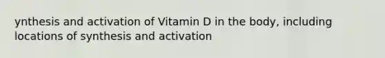 ynthesis and activation of Vitamin D in the body, including locations of synthesis and activation