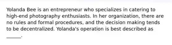 Yolanda Bee is an entrepreneur who specializes in catering to high-end photography enthusiasts. In her organization, there are no rules and formal procedures, and the decision making tends to be decentralized. Yolanda's operation is best described as ______.