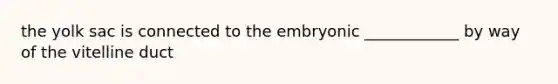 the yolk sac is connected to the embryonic ____________ by way of the vitelline duct