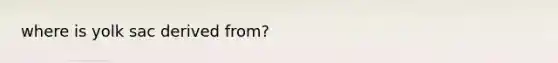 where is yolk sac derived from?