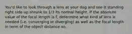 You'd like to look through a lens at your dog and see it standing right side up shrunk to 1/3 its normal height. If the absolute value of the focal length is f, determine what kind of lens is needed (i.e. converging or diverging) as well as the focal length in term of the object distance xo.