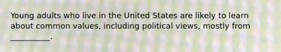 Young adults who live in the United States are likely to learn about common values, including political views, mostly from __________.