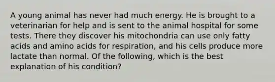 A young animal has never had much energy. He is brought to a veterinarian for help and is sent to the animal hospital for some tests. There they discover his mitochondria can use only fatty acids and amino acids for respiration, and his cells produce more lactate than normal. Of the following, which is the best explanation of his condition?