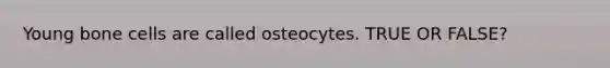 Young bone cells are called osteocytes. TRUE OR FALSE?