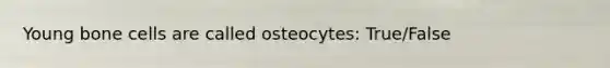 Young bone cells are called osteocytes: True/False