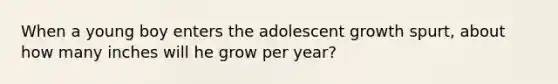 When a young boy enters the adolescent growth spurt, about how many inches will he grow per year?