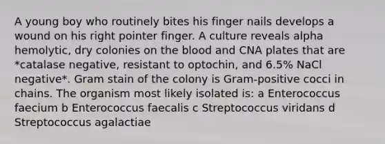 A young boy who routinely bites his finger nails develops a wound on his right pointer finger. A culture reveals alpha hemolytic, dry colonies on the blood and CNA plates that are *catalase negative, resistant to optochin, and 6.5% NaCl negative*. Gram stain of the colony is Gram-positive cocci in chains. The organism most likely isolated is: a Enterococcus faecium b Enterococcus faecalis c Streptococcus viridans d Streptococcus agalactiae