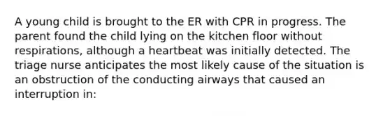 A young child is brought to the ER with CPR in progress. The parent found the child lying on the kitchen floor without respirations, although a heartbeat was initially detected. The triage nurse anticipates the most likely cause of the situation is an obstruction of the conducting airways that caused an interruption in: