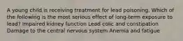 A young child is receiving treatment for lead poisoning. Which of the following is the most serious effect of long-term exposure to lead? Impaired kidney function Lead colic and constipation Damage to the central nervous system Anemia and fatigue