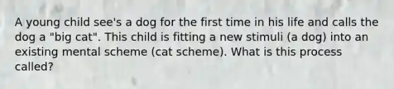 A young child see's a dog for the first time in his life and calls the dog a "big cat". This child is fitting a new stimuli (a dog) into an existing mental scheme (cat scheme). What is this process called?