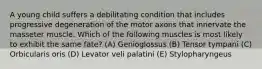 A young child suffers a debilitating condition that includes progressive degeneration of the motor axons that innervate the masseter muscle. Which of the following muscles is most likely to exhibit the same fate? (A) Genioglossus (B) Tensor tympani (C) Orbicularis oris (D) Levator veli palatini (E) Stylopharyngeus